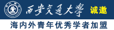 啊啊啊插…欧美…精品诚邀海内外青年优秀学者加盟西安交通大学